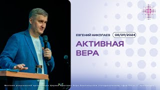 08.09.2024. Евгений Николаев. \