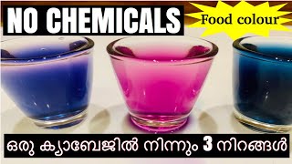 Three food colours | Cabbage colours | ഒരു ക്യാബേജിൽ നിന്നും 3 ഫുഡ് കളർ ഈസി ആയി വീട്ടിലുണ്ടാക്കാം