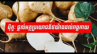 ប៉ិកួៈ ផ្ដល់អត្ថប្រយោជន៍ល្អដល់រាងកាយ