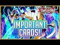 Yu-Gi-Oh! Cards You MUST HAVE From Phantom Rage!