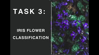 TASK 3: Iris Flower Classification | CodSoft