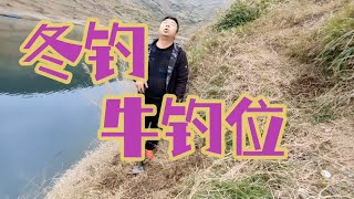 冬钓鲤鱼，野钓这种地形必藏鱼