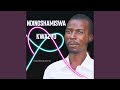 Ndinoshamiswa Kwazvo