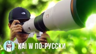 Kai W по-русски: 2 новые ПУШКИ от Sony