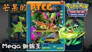 【芒果的PTCG】【EXP】Mega 蜥蜴王 Mega Sceptile