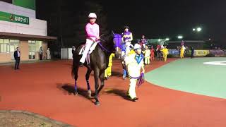 2018.11.9 船橋🐎9R   ワンオブキングズ\u0026内田利雄騎手 周回