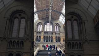 🥳😁🌈🔆Great inside view- Natural History Museum, London: one of the largest museums in the world.