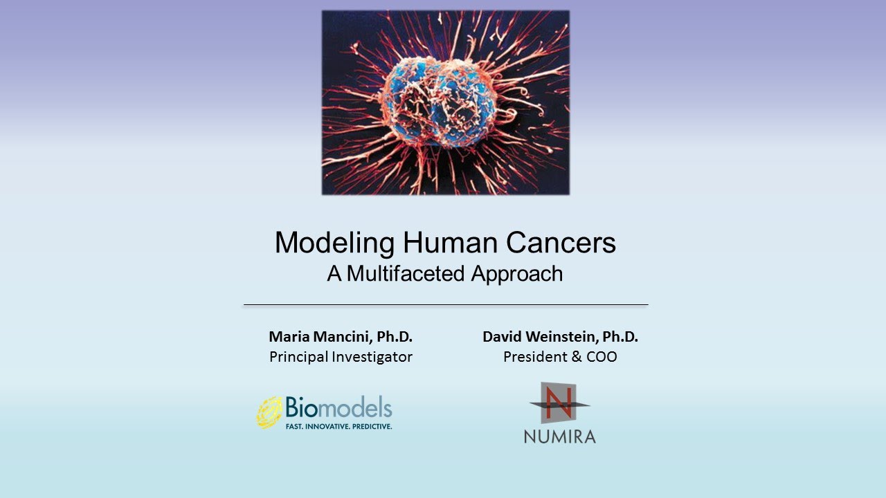 Modeling Human Cancer: A Multidisciplinary Approach - YouTube