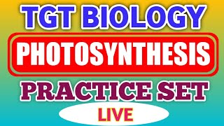 Photosynthesis full Practice set | Practice set of tgt pgt NEET Biology | tgt biology online class