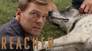 Reacher Rescues a Mistreated Dog | Reacher