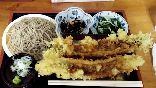 常陸大宮市　石びきそば　三乃宮　穴子天重　食べてみました　コスパ飯　メガ盛り　石挽き蕎麦　