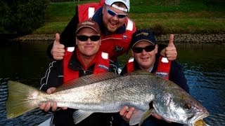 JEWFISH EPIC IN THE YARRA - Mulloway on YouFishTV