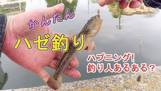 【小物釣り】かんたんハゼ釣り。ハプニング発生。大洗、涸沼川。