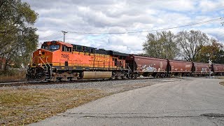 BNSF 7695 (Golden Swoosh) Leads a Grain Train Solo! - Colona, IL