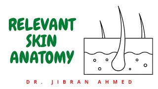 RELEVANT SKIN ANATOMY II ROBBINS 10TH E II SKIN II PATHOLOGY LECTURES II SYSTEMIC PATHOLOGY