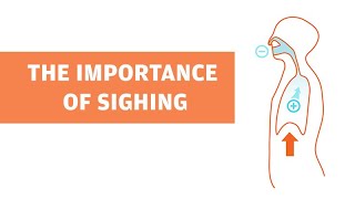 The Importance of Sighing