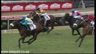 20160702 Greyville Race 3 won by PUNTA ARENAS