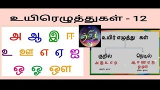 உயிர் எழுத்து உயிரெழுத்துகள் எழுத்துகளின்  வகைகள் / (uyir ezhuthukkal ezhuthukkal)