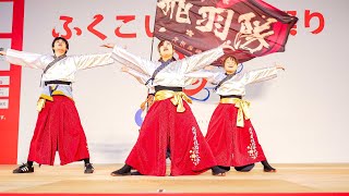 [4K] 九州看護福祉大学 飛羽隊　ふくこいアジア祭り2024 日曜日 (中央)