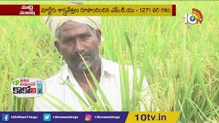 రాజనాల రాశిగా MTU 1271 వరిరకం | Matti Manishi | 10TV News