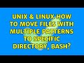 Unix & Linux: How to move files with multiple patterns to specific directory, bash? (3 Solutions!!)