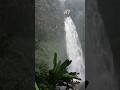 OMG Derasnya Air terjun Curug Cipendok, Hawa Sejuk #wonderfulindonesia #waterfall #LOL #BTW #shorts