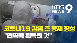 “코로나19 감염 후 모두 항체 형성…면역력 획득한 것” / KBS뉴스(News)