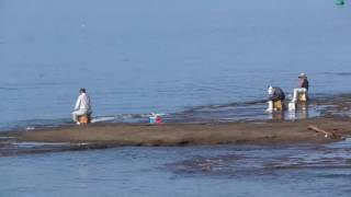 土曜日、満潮時　田辺市天神崎南側の釣り人