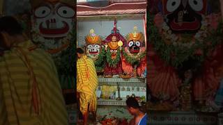 ପଞ୍ଚକରେ ଜଗା କାଳିଆ ଦର୍ଶନ #prasannavolgs #kalia #jagannath