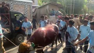 মহান ১৭ই ফাল্গুন ২০২৪, বাষিক ওরশ শরীফ,বোয়ালখালি  শাখা,(পীরে কামেল সৈয়দ ফরমান উল্লাহ সুলতানপুরি)