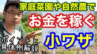 家庭菜園や自然農など『小農』でお金を稼ぐ小技【農を仕事にする/自家採種/育苗/野菜販売】