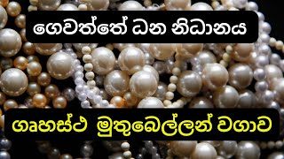 ගෙවත්තේ ධන නිධානය ගෘහස්ථ මුතුබෙල්ලන් වගාව  Profitable Home Pearl Farm-Hidden Gem Sri Lanka