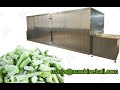 Frozen Green Bean Making Machine|IQF Freezing Machine@gelgoog.com