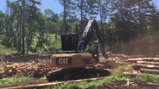 CAT 324D - D\u0026S Logging