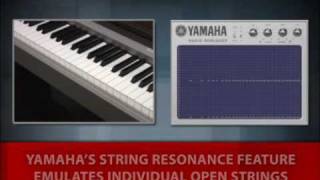 Mastery of Sound - String Resonance