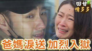 《回甘情多多》EP74 爸媽淚送 加烈入獄