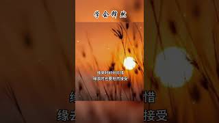 學會釋然｜人生一場戲全都是天意，學會取捨懂得釋懷#人生 #生活 #語錄 #做人 #朗讀