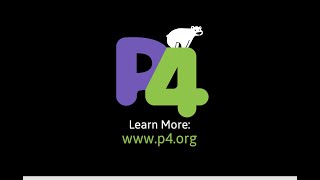 Introduction to P4