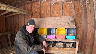 Adding boxes in the laying house for our egg chickens / Straw bedding for the calves. Better or not?