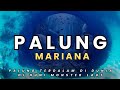 Kodar ADv - Beginilah Perjalanan Menuju Palung Terdalam di Dunia