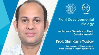 Molecular Genetics of Plant Development-II