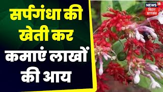 Annadata : सर्पगंधा की खेती कर कमाए लाखों की आय |  Agriculture Show | Hindi News | Krishi News