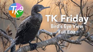 TK FRIDAY (Bird's Eye View) FULL EDIT