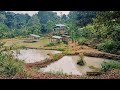 The house in the forest is very beautiful and comfortable surrounded by a fish pond