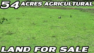 54 ACRES AGRICULTURAL LAND FOR SALE | GOVERNMENT ANNOUNCED AGRICULTURE BENEFITS | BUY THIS PROPERTY