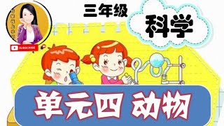 【 单元四：动物】动物的进食习性