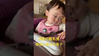 0歳離乳食｜眠気に負ける息子｜寝落ちが可愛い　0-year-old baby food | Sleepy son | Falling asleep is cute