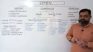 Seminal Fluid English medium @prof.masoodfuzail| Semen English medium | Composition of Semen