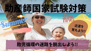 【助産師国家試験対策】胎児循環の迷路を脱出しよう!!