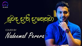 සුවඳ දැනී දැනෙනවා | Suwanda Danee Danenawa (Cover) - Nadeemal Perera